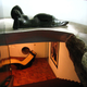 Image for article titled Oscar Niemeyer Was One of the Most Futuristic Architects of All Time